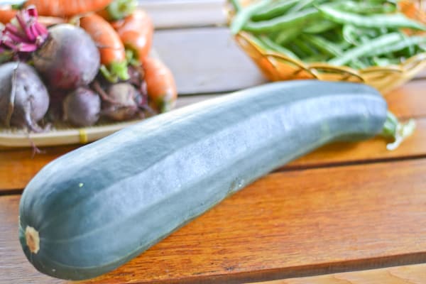 Zucchini