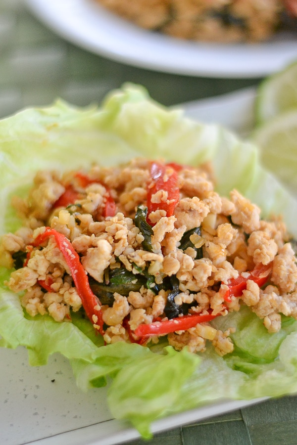 Spicy Thai Basil Chicken