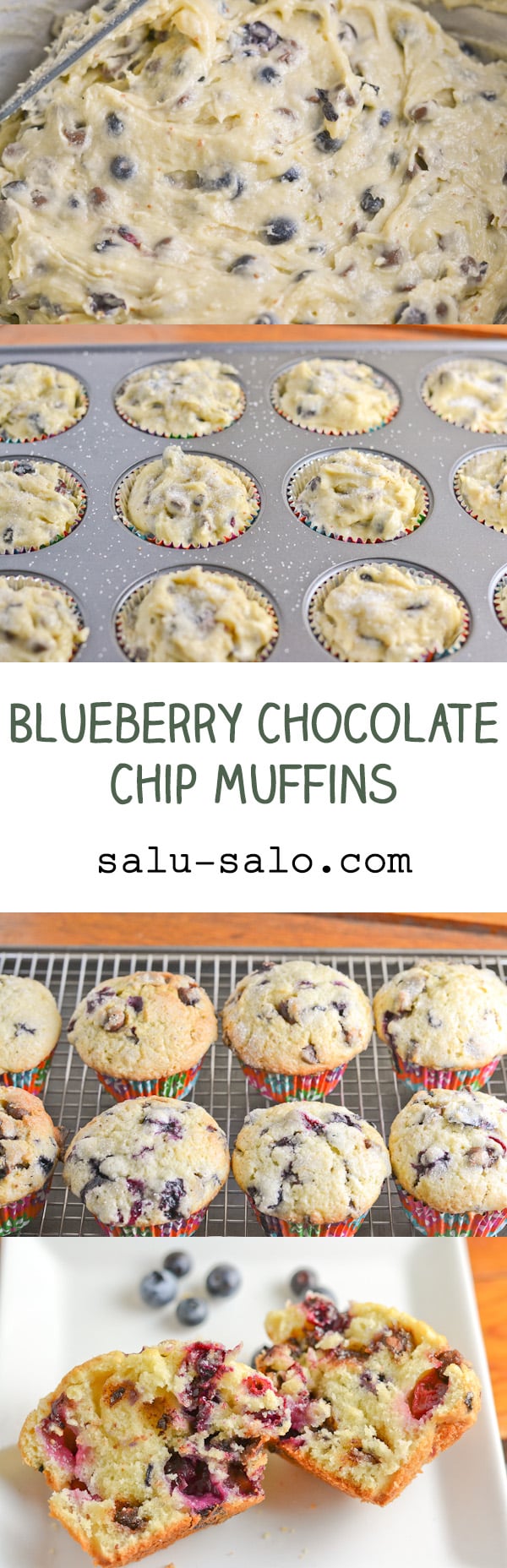 Blueberry Chocolate Chip Muffins