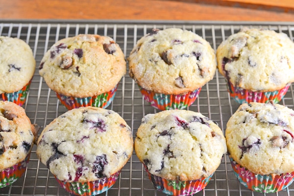 Blueberry Chocolate Chip Muffins