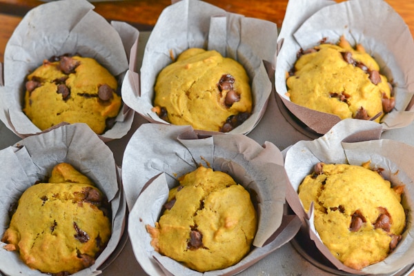 Pumpkin Chocolate Chip Muffins