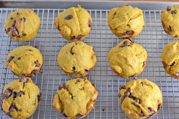 Pumpkin Chocolate Chip Muffins