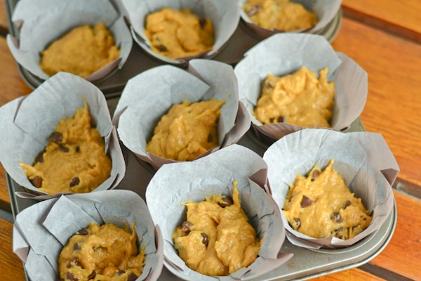 Pumpkin Chocolate Chip Muffins