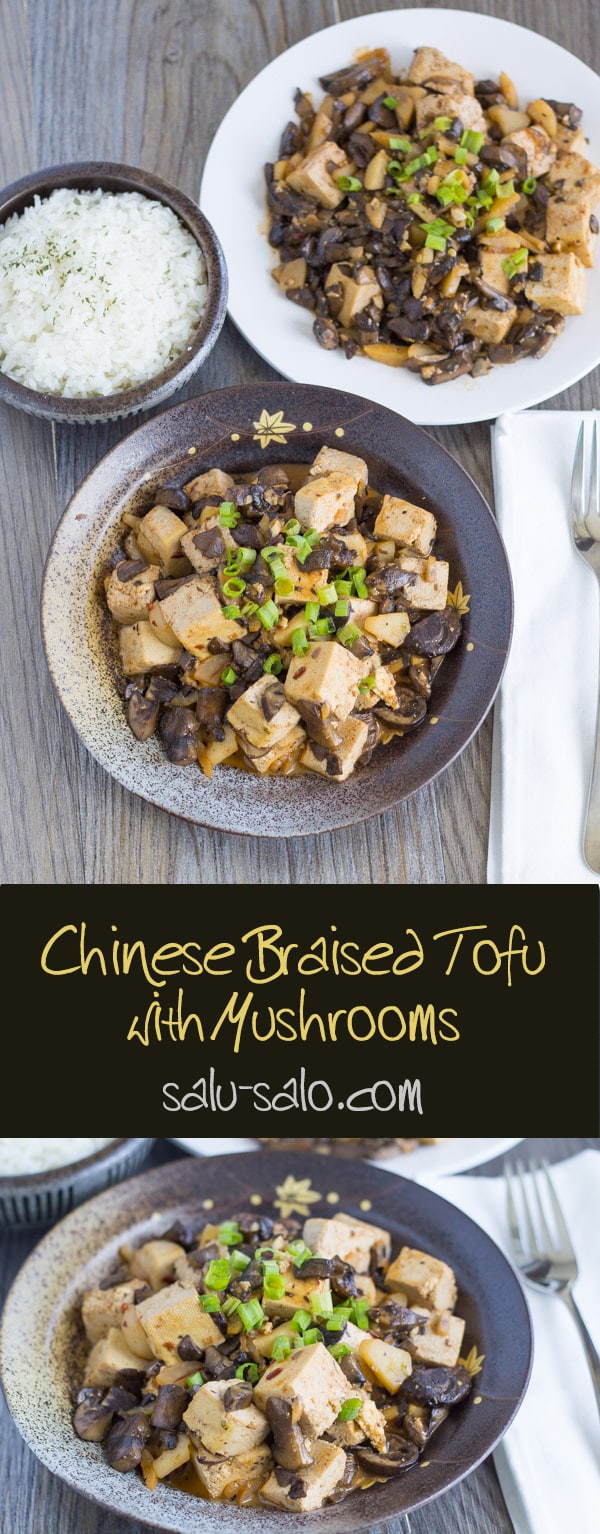 Chinese Braised Tofu and Mushrooms