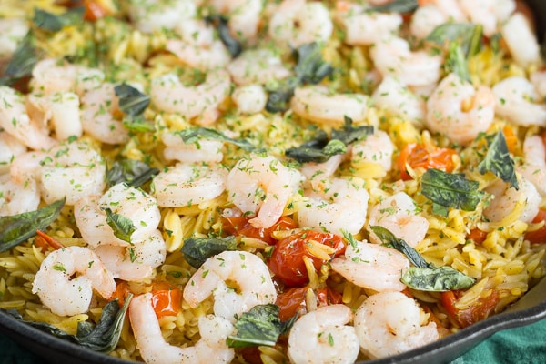 Shrimp Orzo with Tomato and Basil