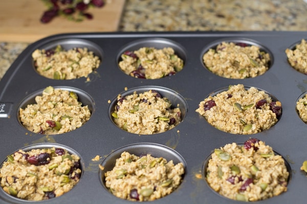 Cranberry Oatmeal Bites