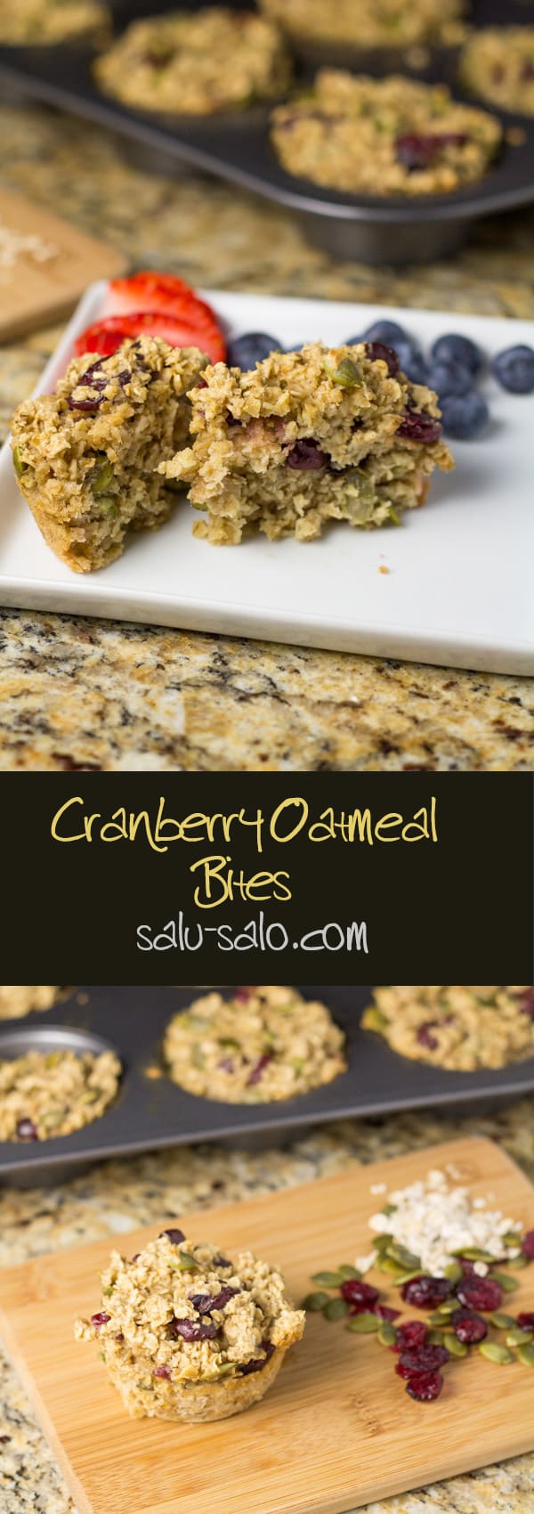 Cranberry Oatmeal Bites