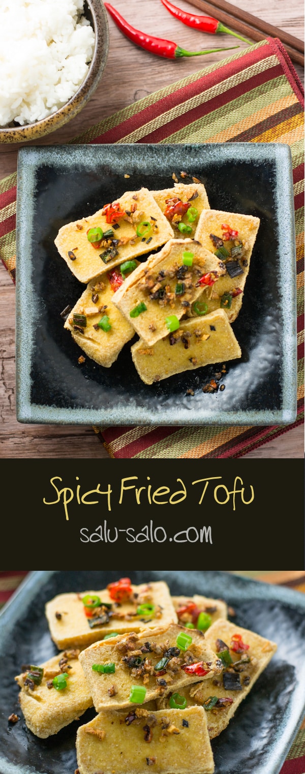 Spicy Fried Tofu