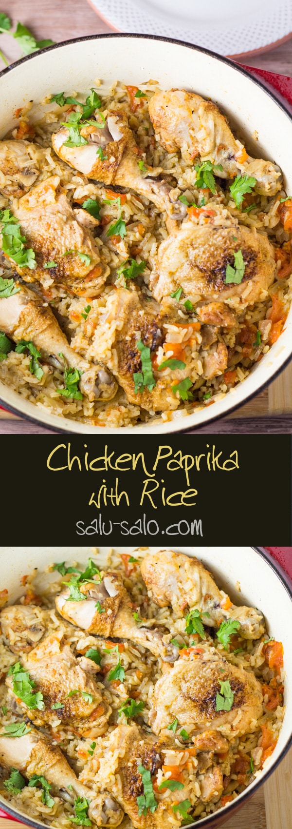 Chicken Paprika with Rice