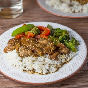 Honey Garlic Chicken Strips