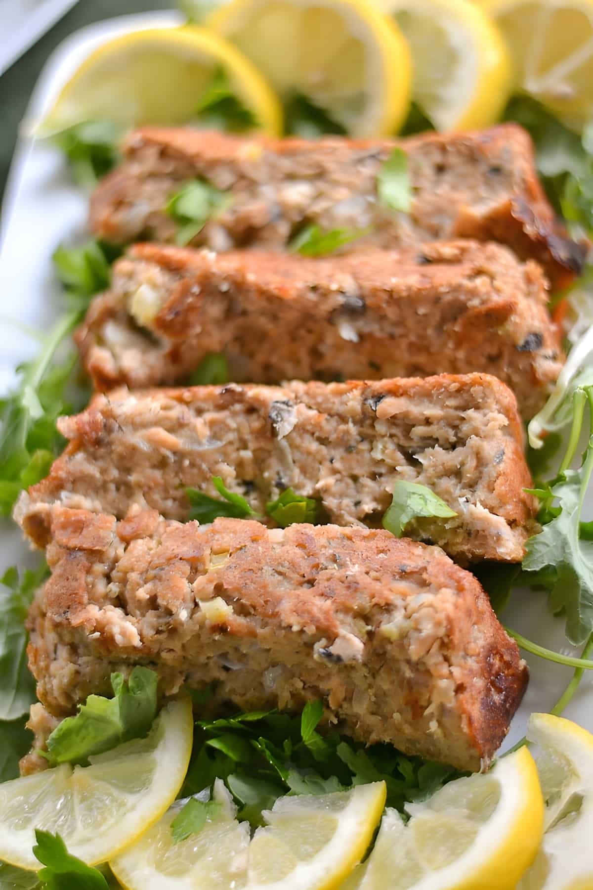 Salmon Loaf